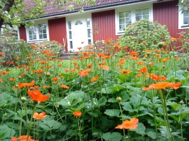 Jen'S B&B Ljungbyhed Экстерьер фото